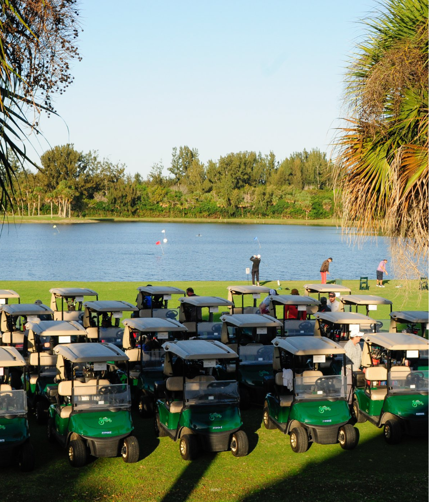 Golf carts near pond
